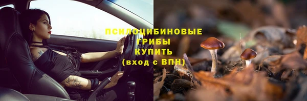 а пвп мука Вяземский