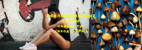 а пвп мука Вяземский