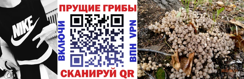 Псилоцибиновые грибы ЛСД  Купить где  Карасук 